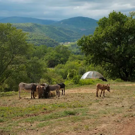 Les Cabanes-tipi Paco En Pleine Nature *