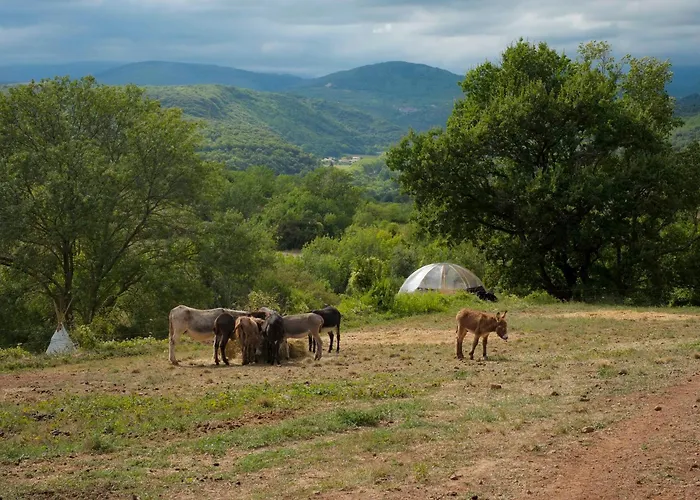 Les Cabanes-tipi Paco En Pleine Nature *